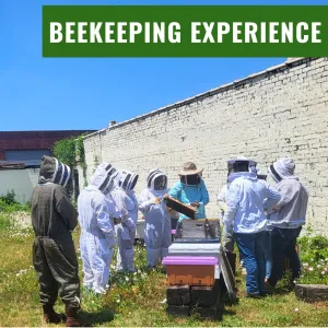 Beekeeping Experience and Hive Tour