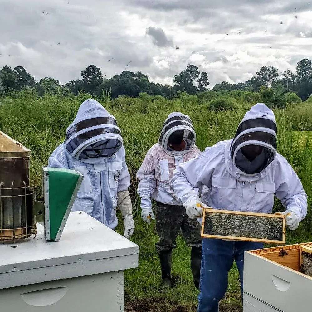 Beekeeping Experience and Hive Tour