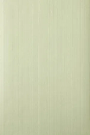 Farrow & Ball Wallpaper Drag DR645