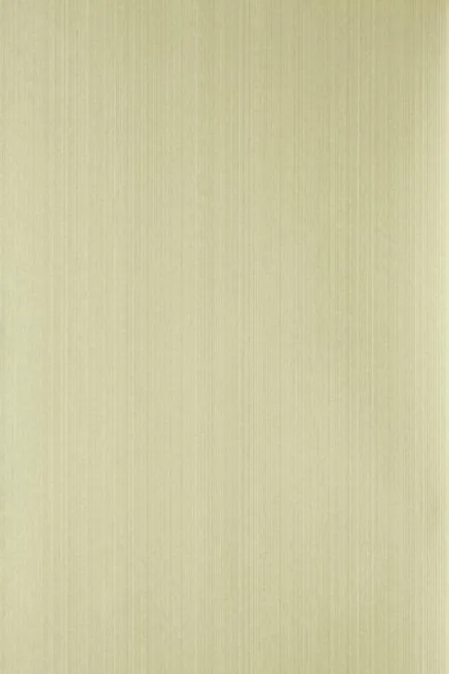 Farrow & Ball Wallpaper Dragged DR1219