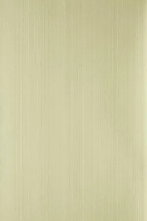 Farrow & Ball Wallpaper Dragged DR1219