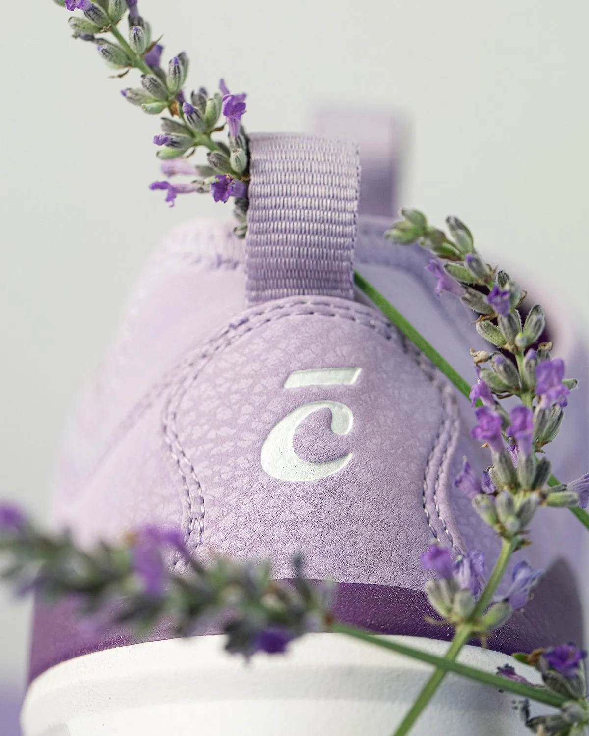 Men's Classic - Lavender