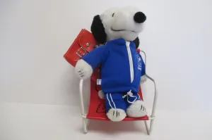 Snoopy Dog and Chair