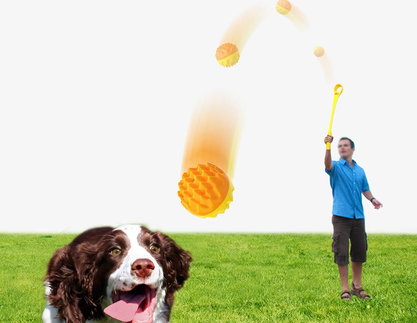 Sport Ball Launcher Dog Toy | Large