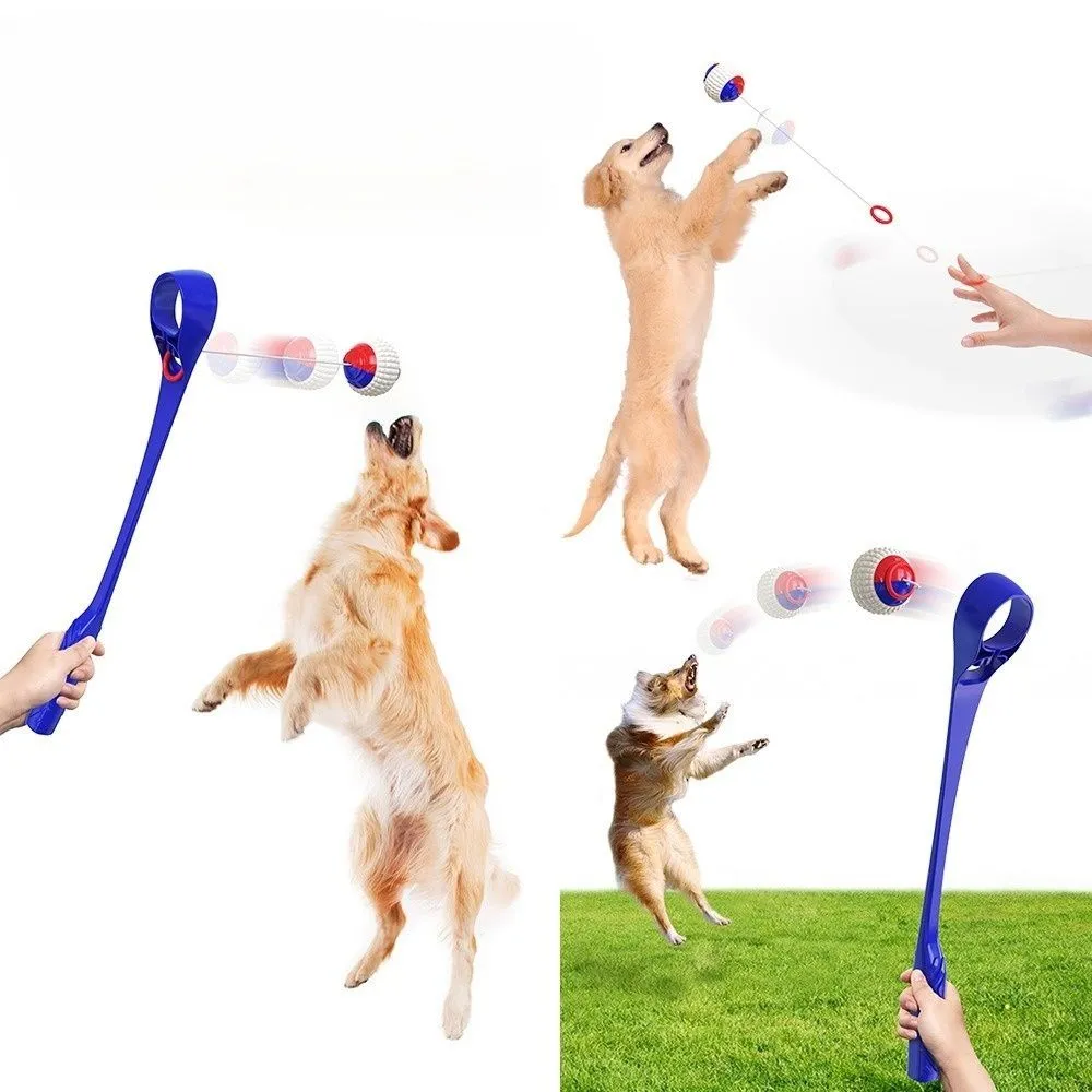 Sport Ball Launcher Dog Toy | Large