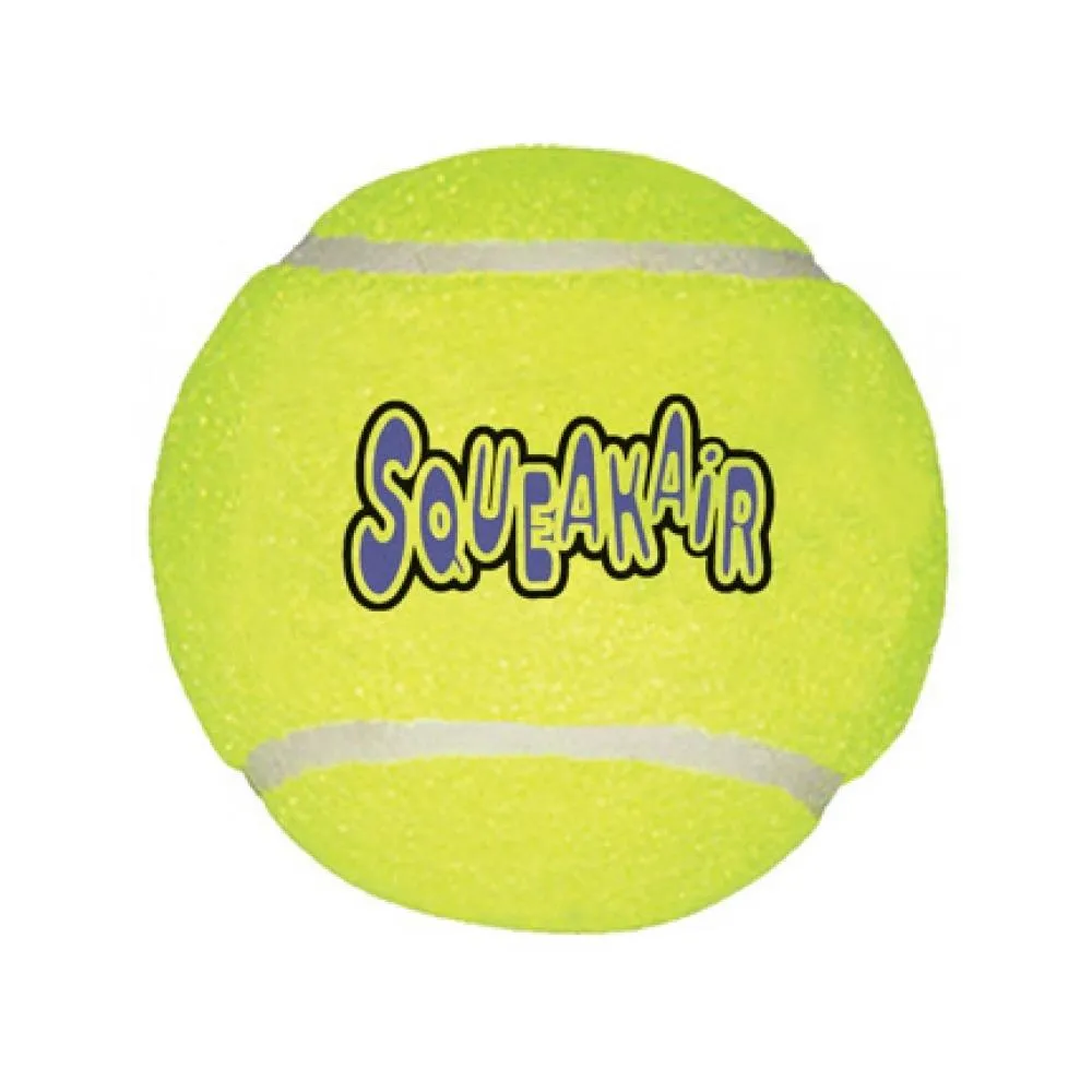 SqueakAir Ball Dog Toy